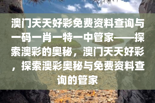 澳门天天好彩免费资料查询与一码一肖一特一中管家——探索澳彩的奥秘，澳门天天好彩，探索澳彩奥秘与免费资料查询的管家