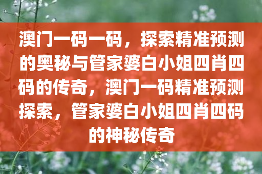 澳门一码一码，探索精准预测的奥秘与管家婆白小姐四肖四码的传奇，澳门一码精准预测探索，管家婆白小姐四肖四码的神秘传奇