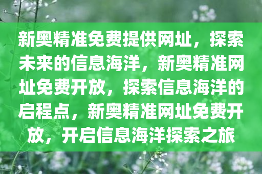 新奥精准免费提供网址，探索未来的信息海洋，新奥精准网址免费开放，探索信息海洋的启程点，新奥精准网址免费开放，开启信息海洋探索之旅