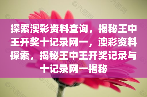 探索澳彩资料查询，揭秘王中王开奖十记录网一，澳彩资料探索，揭秘王中王开奖记录与十记录网一揭秘