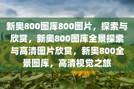 新奥800图库800图片，探索与欣赏，新奥800图库全景探索与高清图片欣赏，新奥800全景图库，高清视觉之旅