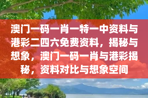 澳门一码一肖一特一中资料与港彩二四六免费资料，揭秘与想象，澳门一码一肖与港彩揭秘，资料对比与想象空间