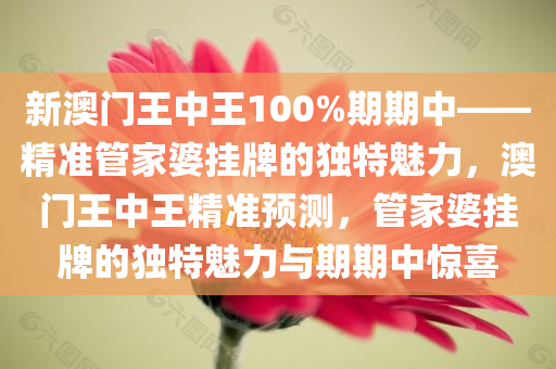 新澳门王中王100%期期中——精准管家婆挂牌的独特魅力，澳门王中王精准预测，管家婆挂牌的独特魅力与期期中惊喜