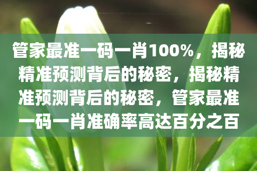 管家最准一码一肖100%，揭秘精准预测背后的秘密，揭秘精准预测背后的秘密，管家最准一码一肖准确率高达百分之百