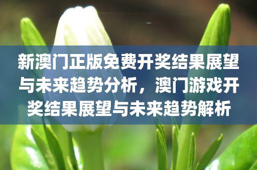 新澳门正版免费开奖结果展望与未来趋势分析，澳门游戏开奖结果展望与未来趋势解析