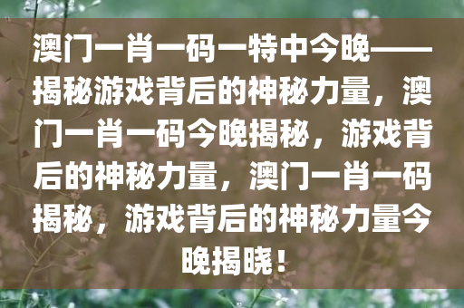 澳门一肖一码一特中今晚——揭秘游戏背后的神秘力量，澳门一肖一码今晚揭秘，游戏背后的神秘力量，澳门一肖一码揭秘，游戏背后的神秘力量今晚揭晓！