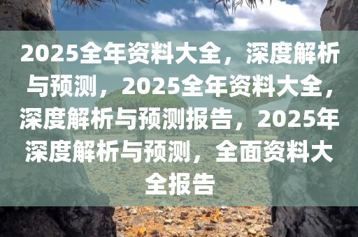 2025全年资料大全，深度解析与预测，2025全年资料大全，深度解析与预测报告，2025年深度解析与预测，全面资料大全报告