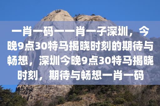 一肖一码一一肖一子深圳，今晚9点30特马揭晓时刻的期待与畅想，深圳今晚9点30特马揭晓时刻，期待与畅想一肖一码