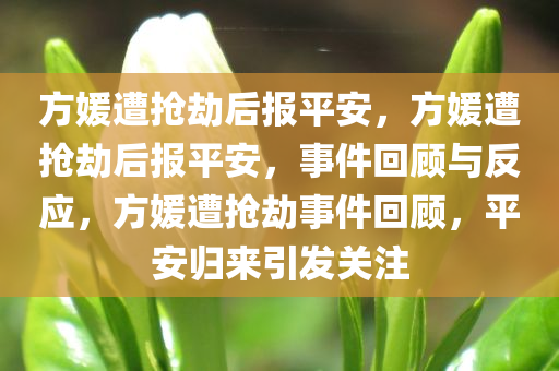 方媛遭抢劫后报平安，方媛遭抢劫后报平安，事件回顾与反应，方媛遭抢劫事件回顾，平安归来引发关注