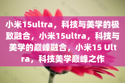 小米15ultra，科技与美学的极致融合，小米15ultra，科技与美学的巅峰融合，小米15 Ultra，科技美学巅峰之作