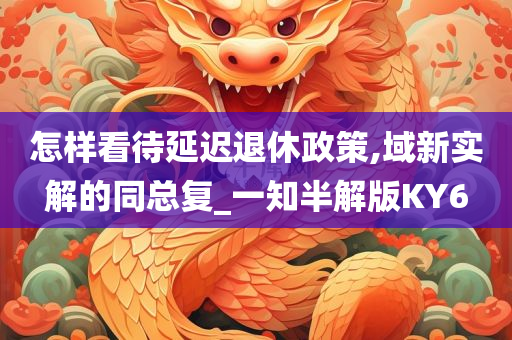 怎样看待延迟退休政策,域新实解的同总复_一知半解版KY6