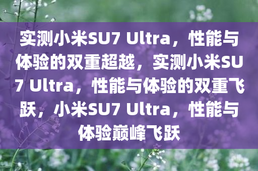 实测小米SU7 Ultra，性能与体验的双重超越，实测小米SU7 Ultra，性能与体验的双重飞跃，小米SU7 Ultra，性能与体验巅峰飞跃