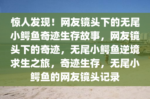 惊人发现！网友镜头下的无尾小鳄鱼奇迹生存故事，网友镜头下的奇迹，无尾小鳄鱼逆境求生之旅，奇迹生存，无尾小鳄鱼的网友镜头记录