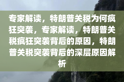 专家解读，特朗普关税为何疯狂突袭，专家解读，特朗普关税疯狂突袭背后的原因，特朗普关税突袭背后的深层原因解析