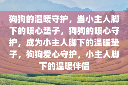 狗狗的温暖守护，当小主人脚下的暖心垫子，狗狗的暖心守护，成为小主人脚下的温暖垫子，狗狗爱心守护，小主人脚下的温暖伴侣