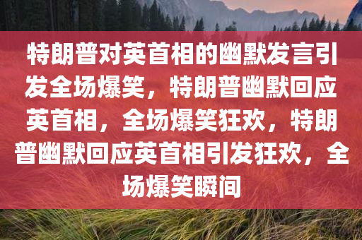 特朗普对英首相的幽默发言引发全场爆笑，特朗普幽默回应英首相，全场爆笑狂欢，特朗普幽默回应英首相引发狂欢，全场爆笑瞬间