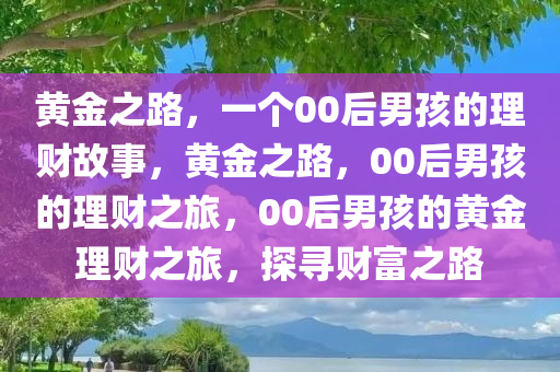 黄金之路，一个00后男孩的理财故事，黄金之路，00后男孩的理财之旅，00后男孩的黄金理财之旅，探寻财富之路