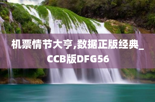 机票情节大亨,数据正版经典_CCB版DFG56