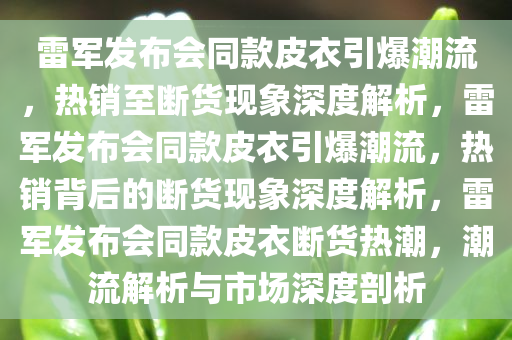 雷军发布会同款皮衣引爆潮流，热销至断货现象深度解析，雷军发布会同款皮衣引爆潮流，热销背后的断货现象深度解析，雷军发布会同款皮衣断货热潮，潮流解析与市场深度剖析