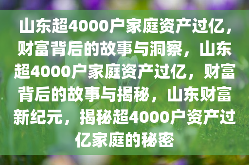 山东超4000户家庭资产过亿，财富背后的故事与洞察，山东超4000户家庭资产过亿，财富背后的故事与揭秘，山东财富新纪元，揭秘超4000户资产过亿家庭的秘密