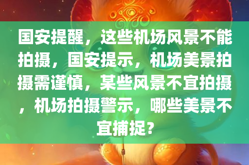 国安提醒，这些机场风景不能拍摄，国安提示，机场美景拍摄需谨慎，某些风景不宜拍摄，机场拍摄警示，哪些美景不宜捕捉？