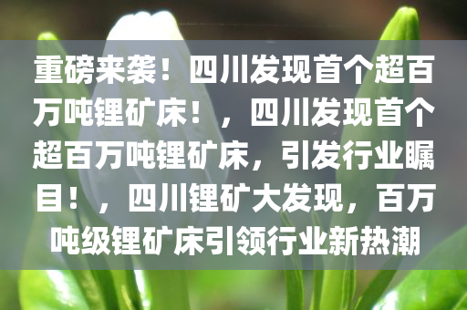 重磅来袭！四川发现首个超百万吨锂矿床！，四川发现首个超百万吨锂矿床，引发行业瞩目！，四川锂矿大发现，百万吨级锂矿床引领行业新热潮