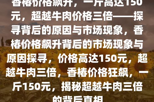 香椿价格飙升，一斤高达150元，超越牛肉价格三倍——探寻背后的原因与市场现象，香椿价格飙升背后的市场现象与原因探寻，价格高达150元，超越牛肉三倍，香椿价格狂飙，一斤150元，揭秘超越牛肉三倍的背后真相