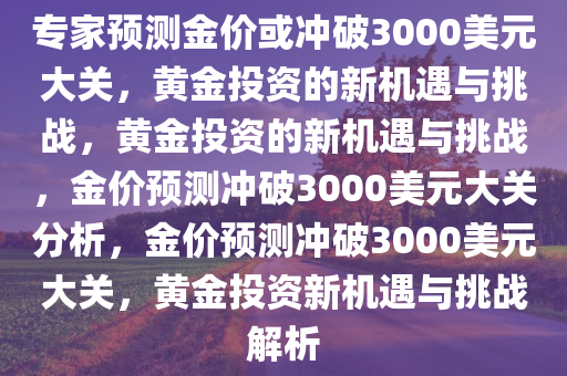 专家预测金价或冲破3000美元大关，黄金投资的新机遇与挑战，黄金投资的新机遇与挑战，金价预测冲破3000美元大关分析，金价预测冲破3000美元大关，黄金投资新机遇与挑战解析