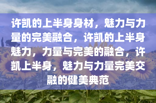 许凯的上半身身材，魅力与力量的完美融合，许凯的上半身魅力，力量与完美的融合，许凯上半身，魅力与力量完美交融的健美典范