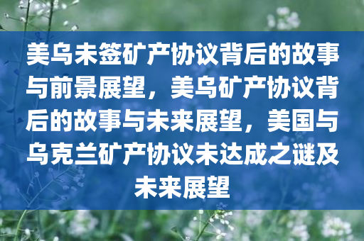 美乌未签矿产协议背后的故事与前景展望，美乌矿产协议背后的故事与未来展望，美国与乌克兰矿产协议未达成之谜及未来展望