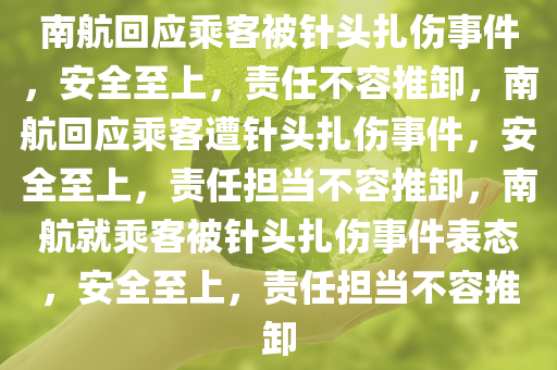 南航回应乘客被针头扎伤事件，安全至上，责任不容推卸，南航回应乘客遭针头扎伤事件，安全至上，责任担当不容推卸，南航就乘客被针头扎伤事件表态，安全至上，责任担当不容推卸