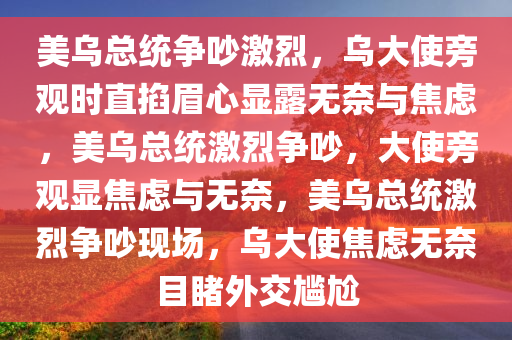 美乌总统争吵激烈，乌大使旁观时直掐眉心显露无奈与焦虑，美乌总统激烈争吵，大使旁观显焦虑与无奈，美乌总统激烈争吵现场，乌大使焦虑无奈目睹外交尴尬