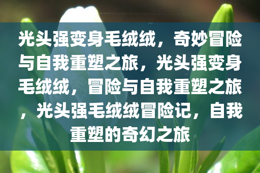 光头强变身毛绒绒，奇妙冒险与自我重塑之旅，光头强变身毛绒绒，冒险与自我重塑之旅，光头强毛绒绒冒险记，自我重塑的奇幻之旅