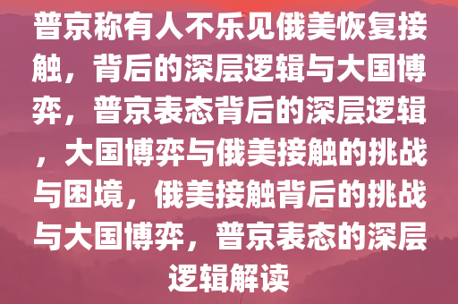 普京称有人不乐见俄美恢复接触，背后的深层逻辑与大国博弈，普京表态背后的深层逻辑，大国博弈与俄美接触的挑战与困境，俄美接触背后的挑战与大国博弈，普京表态的深层逻辑解读