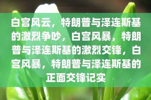 白宫风云，特朗普与泽连斯基的激烈争吵，白宫风暴，特朗普与泽连斯基的激烈交锋，白宫风暴，特朗普与泽连斯基的正面交锋记实