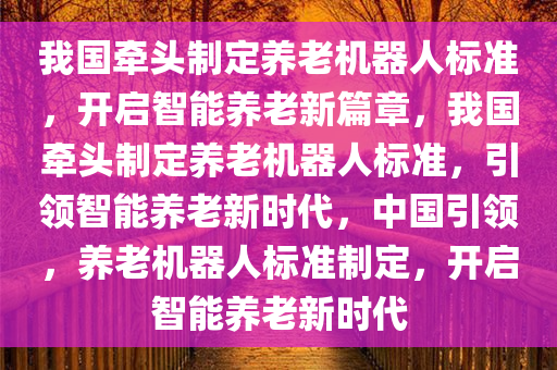 我国牵头制定养老机器人标准，开启智能养老新篇章，我国牵头制定养老机器人标准，引领智能养老新时代，中国引领，养老机器人标准制定，开启智能养老新时代