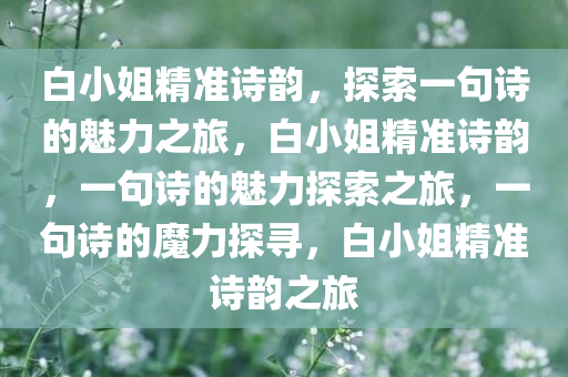 白小姐精准诗韵，探索一句诗的魅力之旅，白小姐精准诗韵，一句诗的魅力探索之旅，一句诗的魔力探寻，白小姐精准诗韵之旅