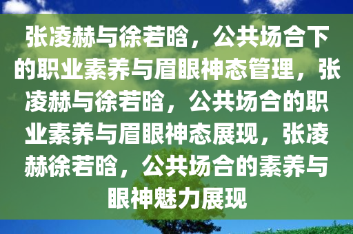 张凌赫与徐若晗，公共场合下的职业素养与眉眼神态管理，张凌赫与徐若晗，公共场合的职业素养与眉眼神态展现，张凌赫徐若晗，公共场合的素养与眼神魅力展现