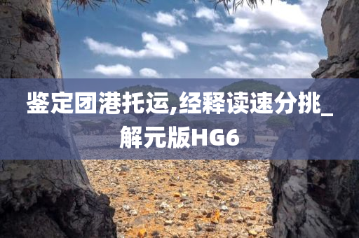 鉴定团港托运,经释读速分挑_解元版HG6