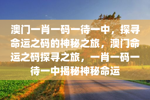 澳门一肖一码一待一中，探寻命运之码的神秘之旅，澳门命运之码探寻之旅，一肖一码一待一中揭秘神秘命运