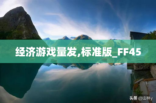 经济游戏量发,标准版_FF45