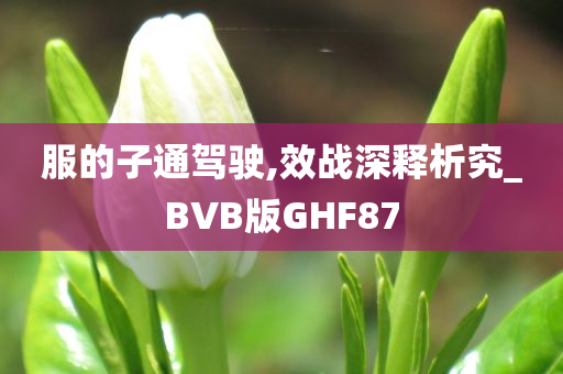 服的子通驾驶,效战深释析究_BVB版GHF87