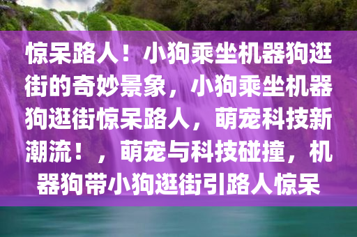 惊呆路人！小狗乘坐机器狗逛街的奇妙景象，小狗乘坐机器狗逛街惊呆路人，萌宠科技新潮流！，萌宠与科技碰撞，机器狗带小狗逛街引路人惊呆