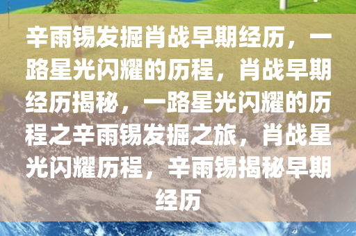 辛雨锡发掘肖战早期经历，一路星光闪耀的历程，肖战早期经历揭秘，一路星光闪耀的历程之辛雨锡发掘之旅，肖战星光闪耀历程，辛雨锡揭秘早期经历