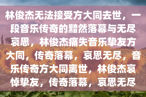 林俊杰无法接受方大同去世，一段音乐传奇的黯然落幕与无尽哀思，林俊杰痛失音乐挚友方大同，传奇落幕，哀思无尽，音乐传奇方大同离世，林俊杰哀悼挚友，传奇落幕，哀思无尽