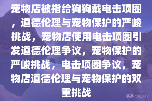 宠物店被指给狗狗戴电击项圈，道德伦理与宠物保护的严峻挑战，宠物店使用电击项圈引发道德伦理争议，宠物保护的严峻挑战，电击项圈争议，宠物店道德伦理与宠物保护的双重挑战