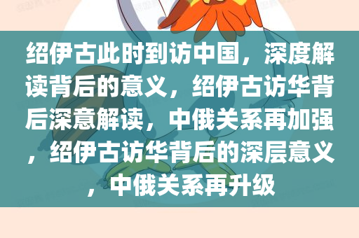 绍伊古此时到访中国，深度解读背后的意义，绍伊古访华背后深意解读，中俄关系再加强，绍伊古访华背后的深层意义，中俄关系再升级