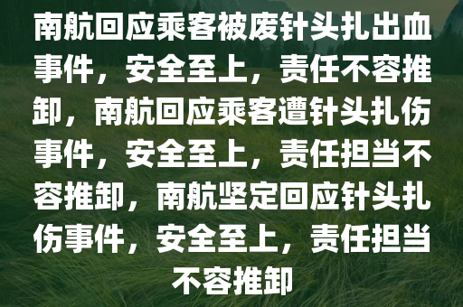 南航回应乘客被废针头扎出血事件，安全至上，责任不容推卸，南航回应乘客遭针头扎伤事件，安全至上，责任担当不容推卸，南航坚定回应针头扎伤事件，安全至上，责任担当不容推卸