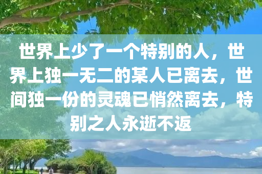 世界上少了一个特别的人，世界上独一无二的某人已离去，世间独一份的灵魂已悄然离去，特别之人永逝不返