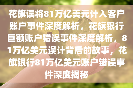 花旗误将81万亿美元计入客户账户事件深度解析，花旗银行巨额账户错误事件深度解析，81万亿美元误计背后的故事，花旗银行81万亿美元账户错误事件深度揭秘